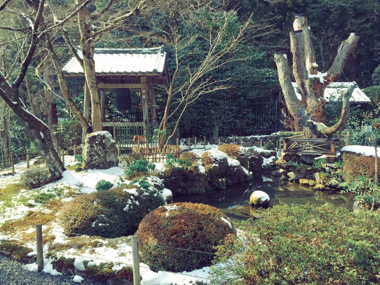 tree, plant, growth, nature, built structure, snow, grass, tranquility, winter, architecture, park - man made space, day, covering, building exterior, tree trunk, field, cold temperature, outdoors, white color, sunlight