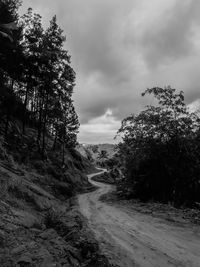 Road amidst trees against sky