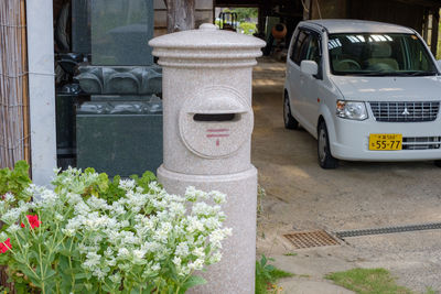 Potted plants by street in city