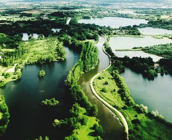 Scenic view of river amidst trees