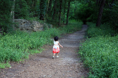 People walking on footpath in forest