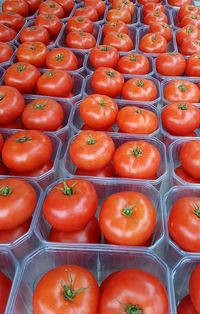 Full frame shot of tomatoes for sale in market