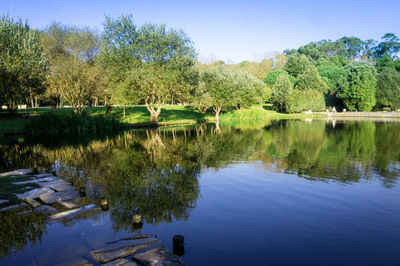 Scenic view of lake by trees against sky