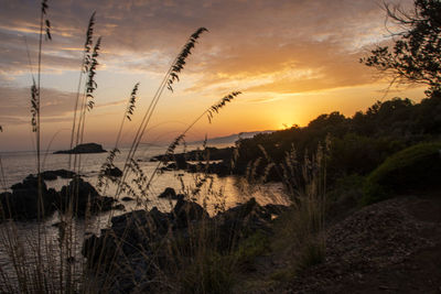 Scenic view of sea against sky during sunset