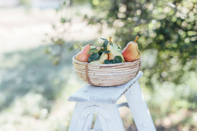 Close-up of apples in basket on table