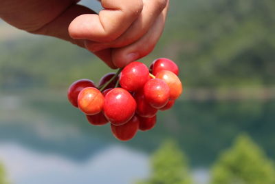 Close-up of hand holding strawberry