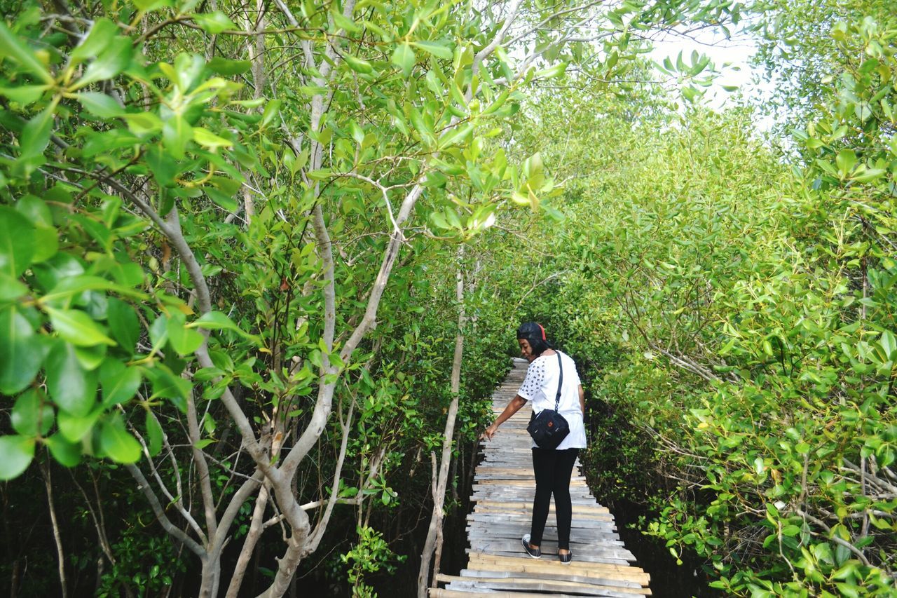 tree, full length, rear view, green color, walking, forest, growth, casual clothing, the way forward, plant, footpath, day, nature, beauty in nature, narrow, branch, scenics, outdoors, tranquil scene, person, vacations, tranquility, lush foliage