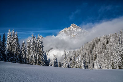 Scenic view of snow covered trees against blue sky