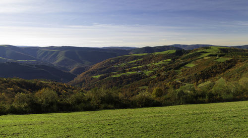 Scenic view of agricultural field against sky