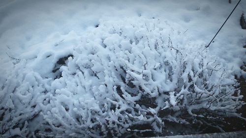 Scenic view of snow covered landscape