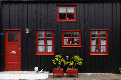 Red and potted plant on table against window of building