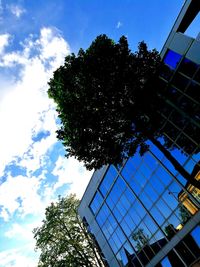 Low angle view of tree against sky