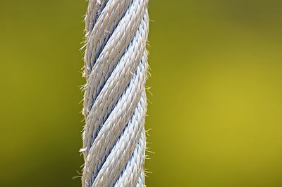 Close-up of twisted rope