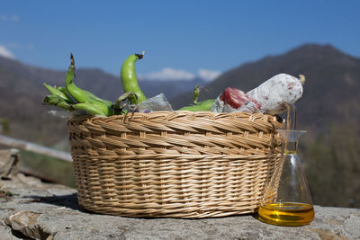 Close-up of wicker basket on plant against sky