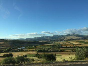 Scenic view of agricultural field against blue sky