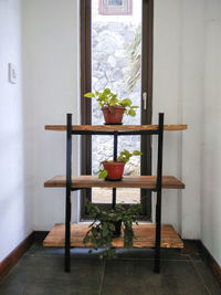 Potted plant on table at home