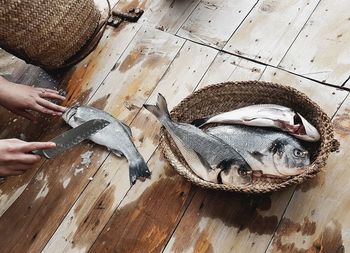High angle view of fish on cutting board
