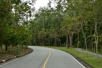 Empty road amidst trees in forest