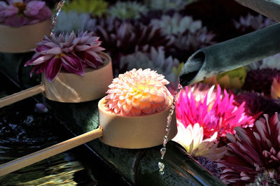 Close-up of flowers on ladle