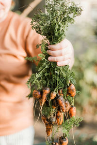 Midsection of woman holding plant