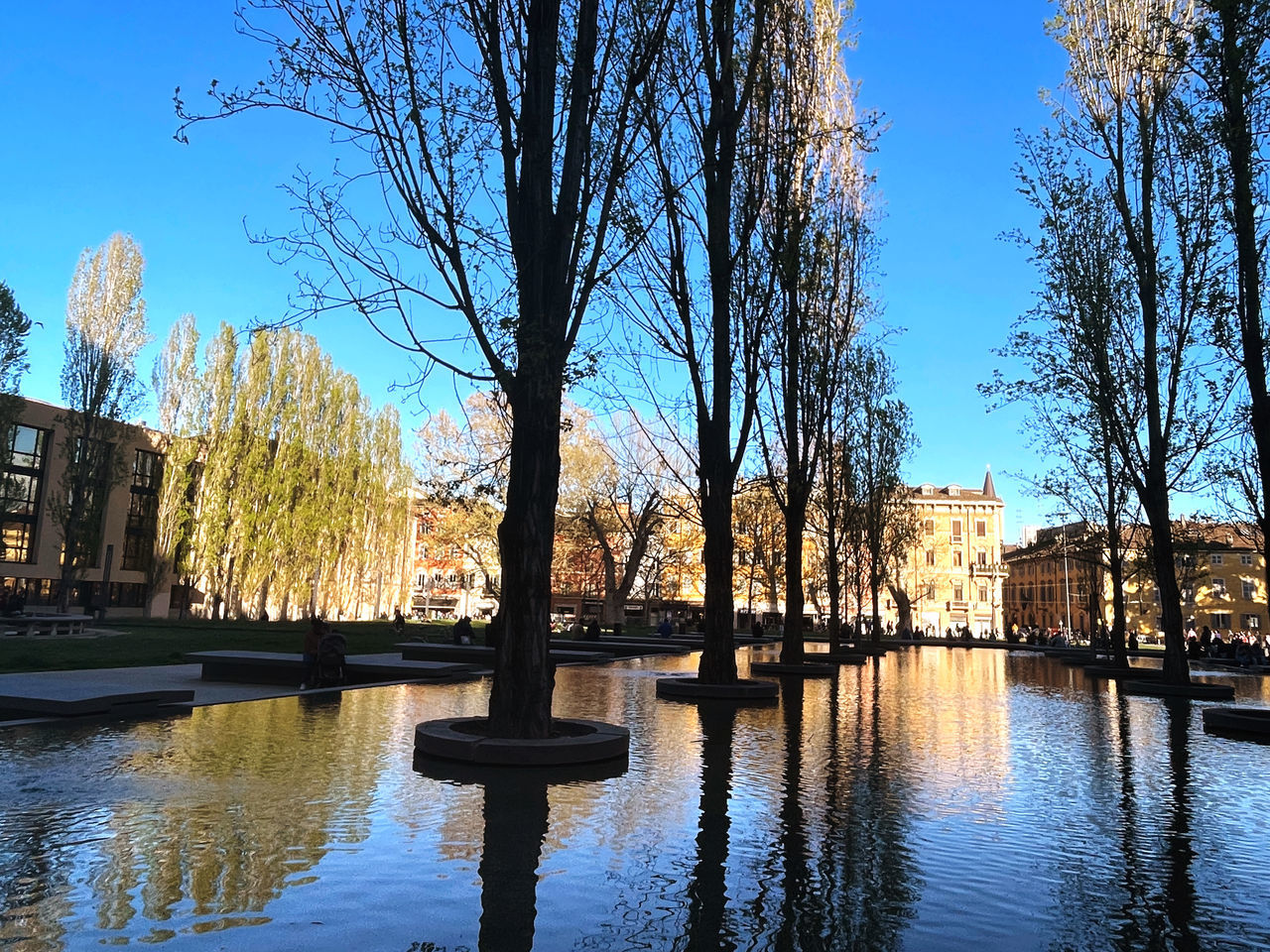 reflection, tree, water, architecture, sky, plant, nature, built structure, river, autumn, building exterior, evening, waterway, bare tree, no people, city, travel destinations, blue, day, outdoors, clear sky, tranquility, building, waterfront, beauty in nature, reflecting pool, branch, travel, tourism, cityscape, park