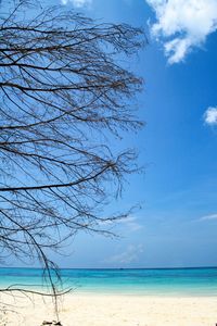 Scenic view of sea against blue sky