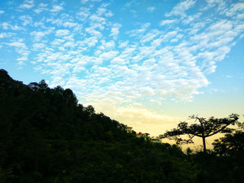 Low angle view of silhouette trees against sky