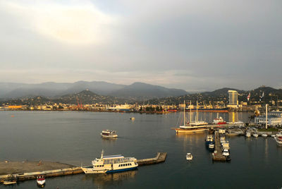 Sailboats moored in harbor