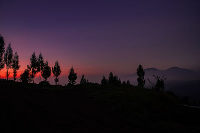 Silhouette trees against clear sky at sunset