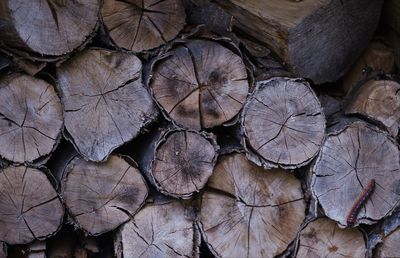 Full frame shot of logs