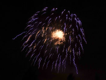 Low angle view of firework display at night