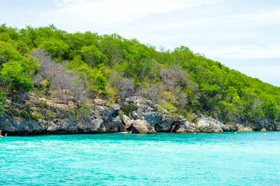 Scenic view of sea by trees against sky