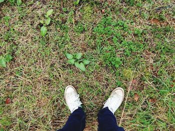 Low section of person standing on grassy field