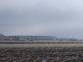 winter