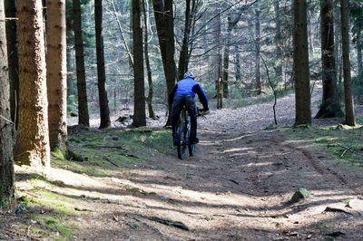 Rear view of person riding bicycle