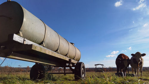 Low angle view of airplane on field against sky