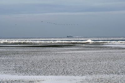 Seagulls flying over beach against sky