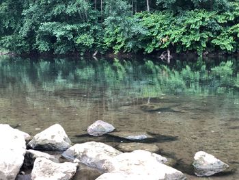 Scenic view of lake