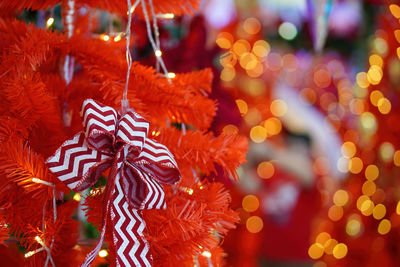 Close-up of christmas tree