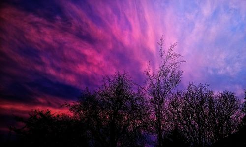 Low angle view of trees against cloudy sky