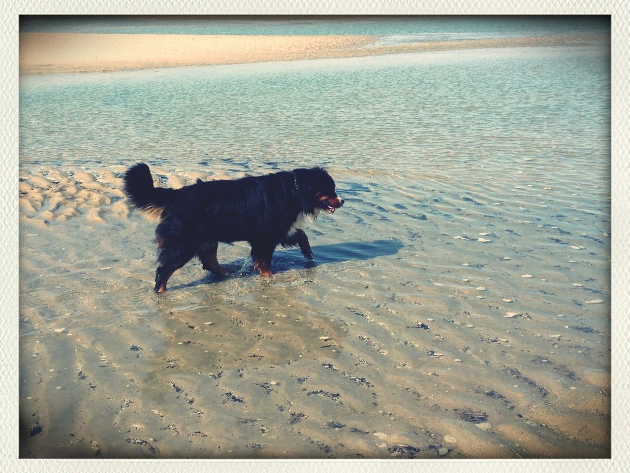 Den Haag, Beach