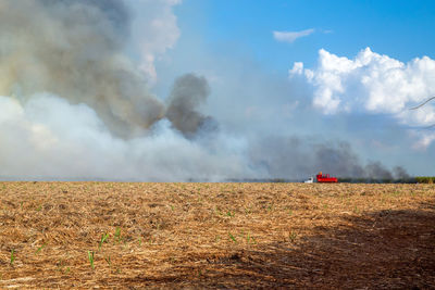 Scenic view of agricultural field against sky