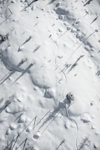 Aerial photo of adult woman backcountry powder skiing in the kootenays, b.c., canada