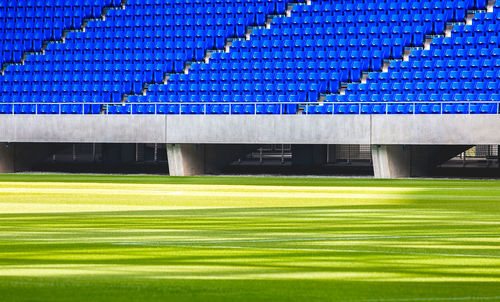 Scenic view of grassy field