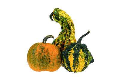 Close-up of fruit against white background