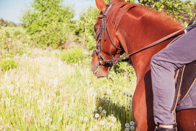 Man wearing sunglasses on field