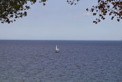 Sailboat in sea against sky