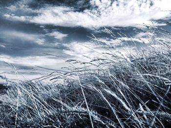 Scenic view of landscape against cloudy sky