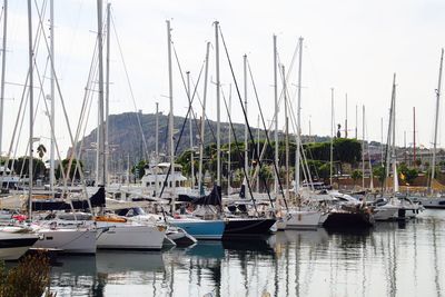 Sailboats moored on harbor against sky