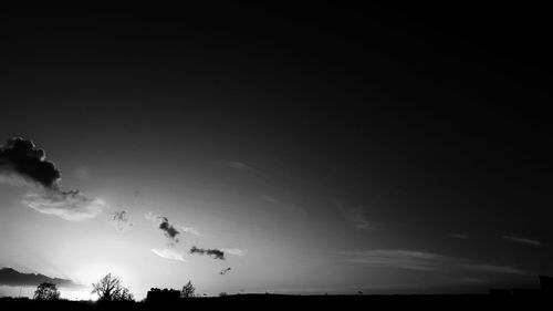 Low angle view of silhouette birds against sky